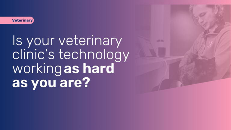 IT support for veterinary clinics